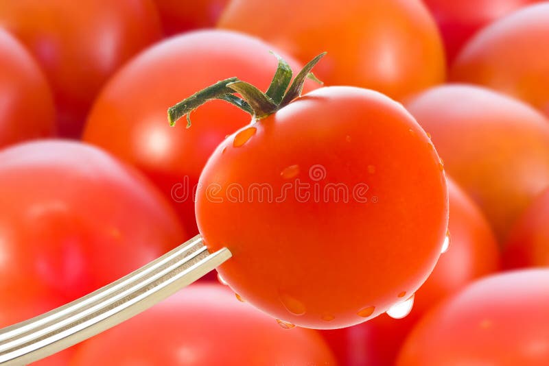 Blending Tomatoes stock photo. Image of diner, ready 76605214