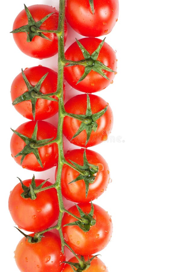 Tomatoes