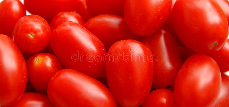 Tomatoes