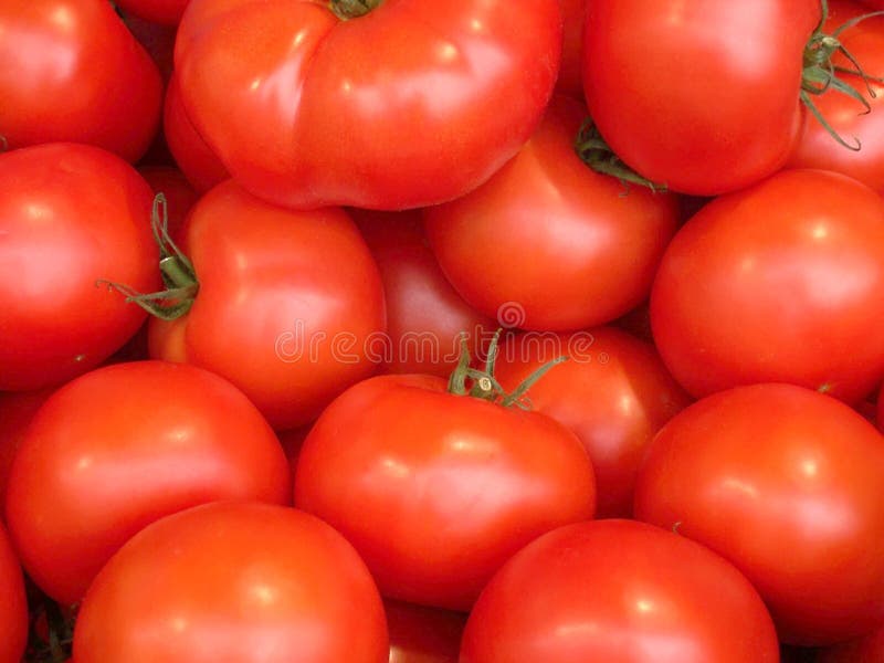 Tomatoes