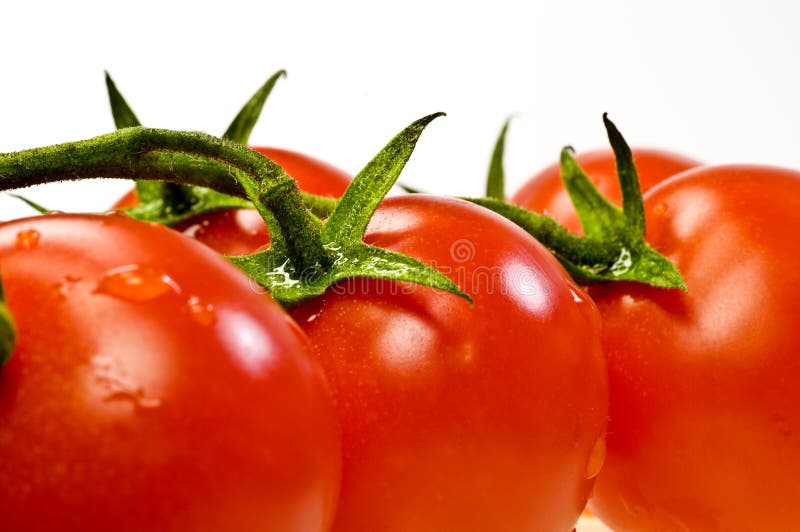 Tomatoes