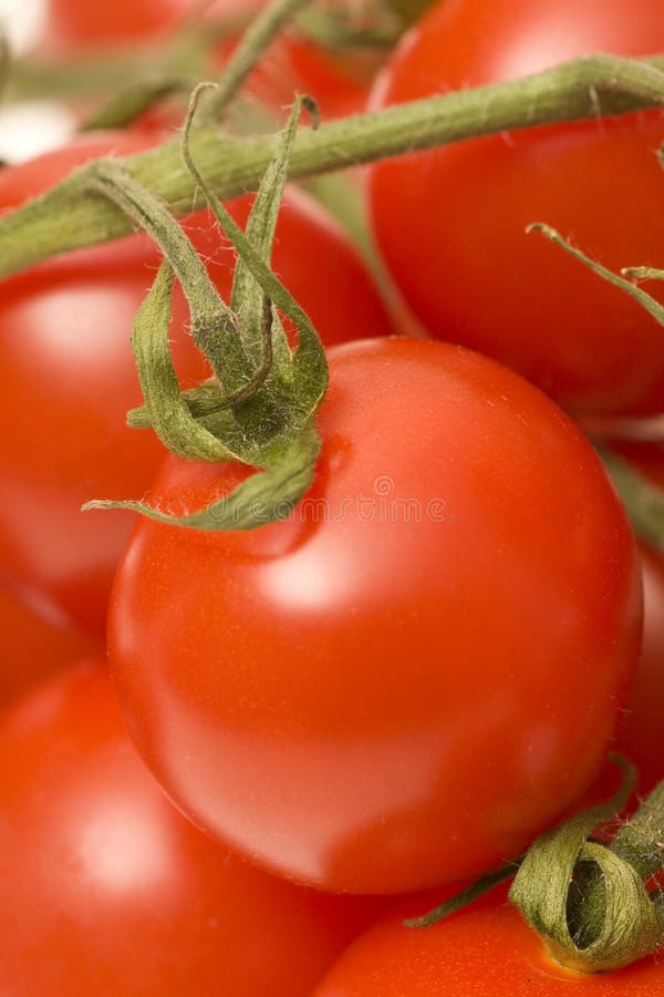 Tomatoes