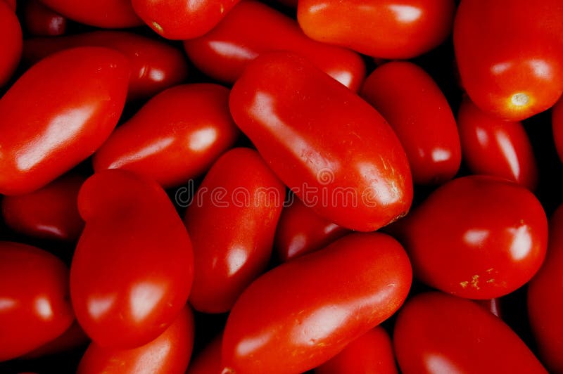 Tomatoes