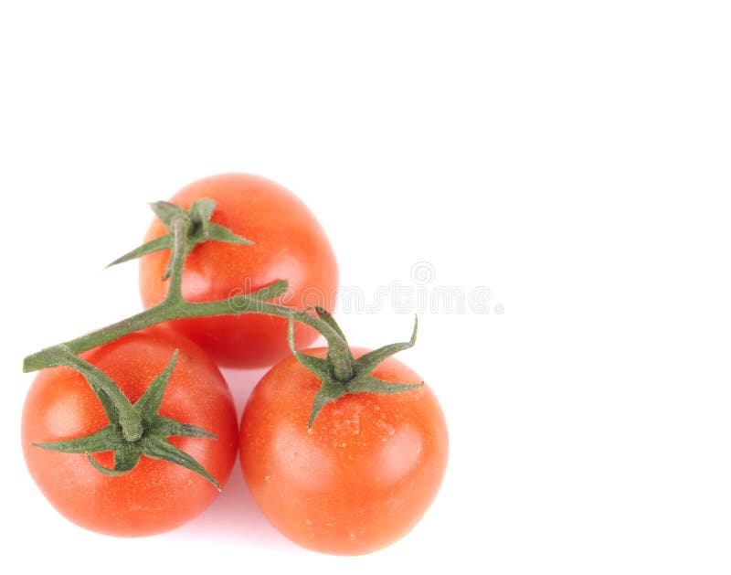 Tomatoes from above