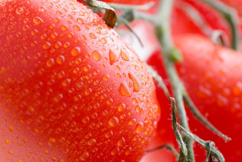 Tomatoes background texture