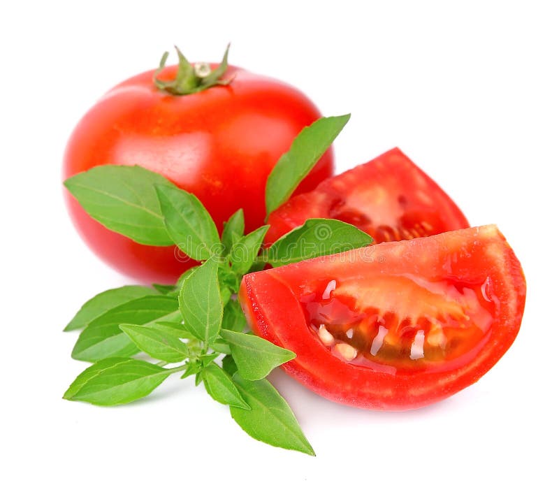 Tomatoes and basil stock image. Image of white, food 26436105