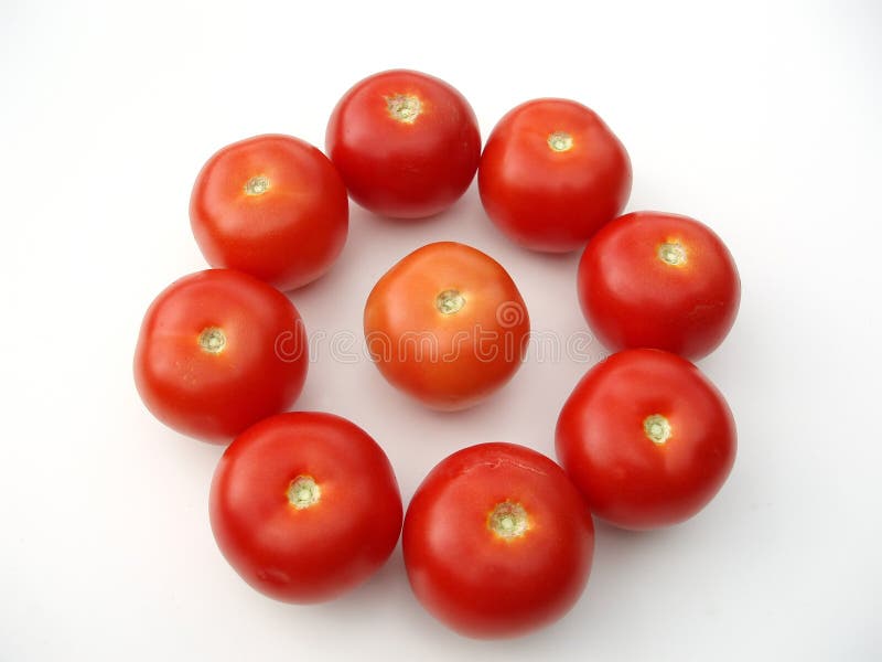 Tomatoes in a circle