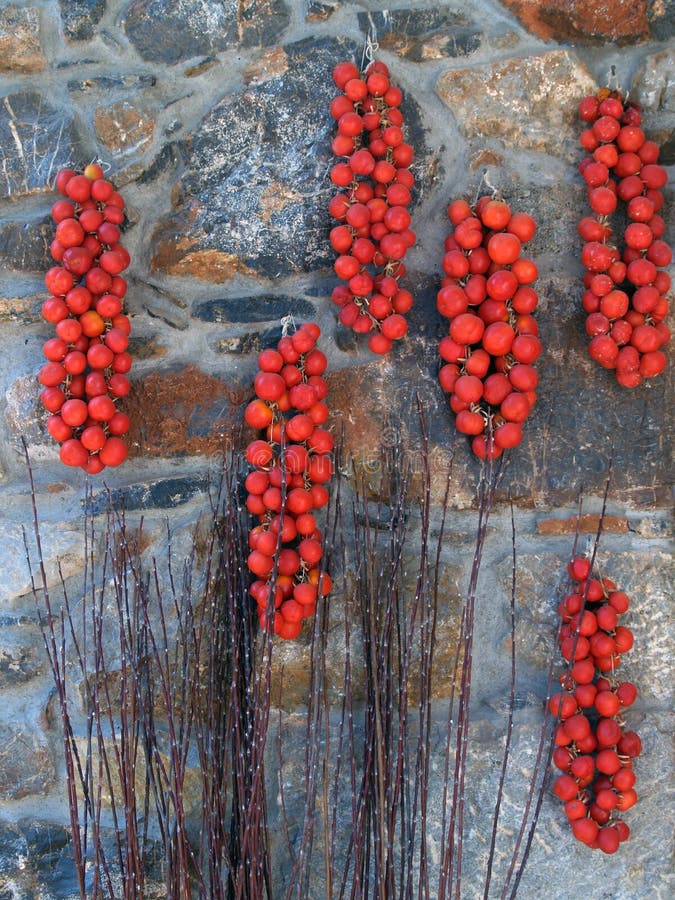 Tomatoes drying