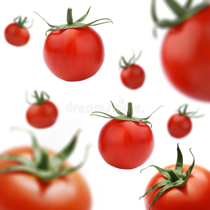 Tomatoes falling down stock photo. Image of food, leaf 6567288