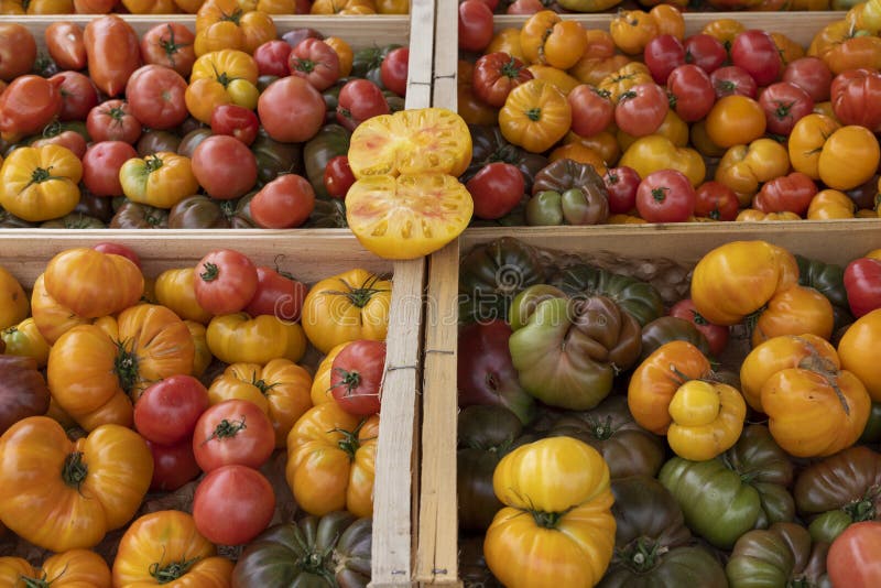 Tomatoes in french market stock photo. Image of profusion 219723928
