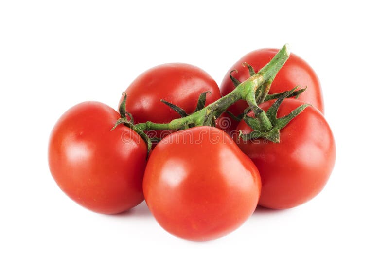 Tomatoes isolated on white background