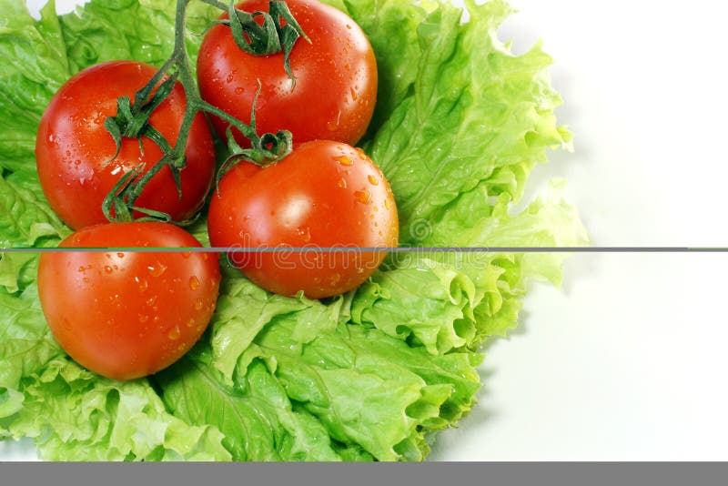 Tomatoes on leaves of salad