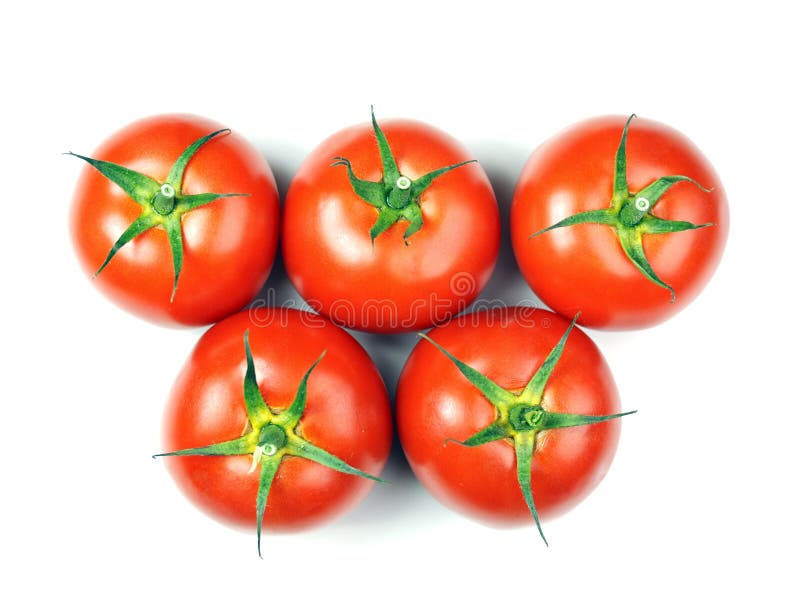 Tomatoes olimpic