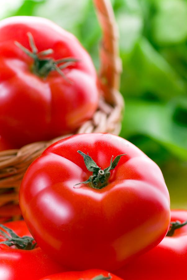 Tomatoes and salad