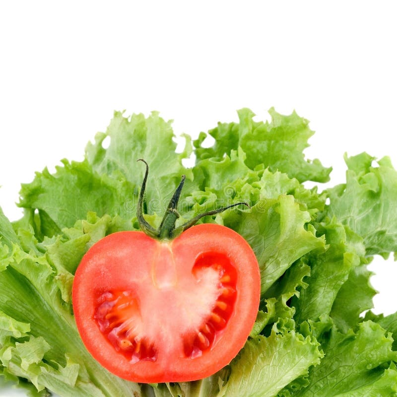 Tomatoes on salad green royalty free stock photography Tomatoes on salad green royalty free stock photography