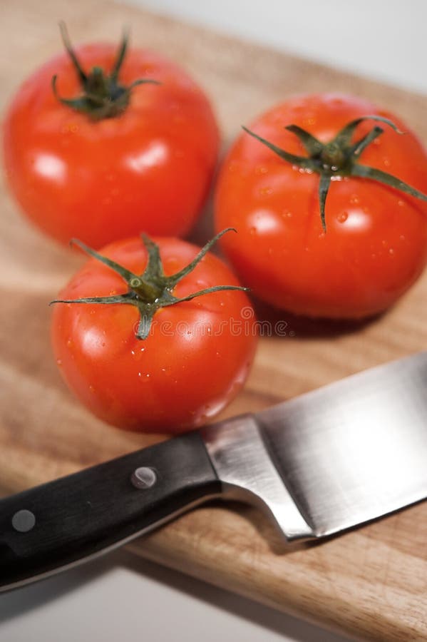 Tomatoes Still Life