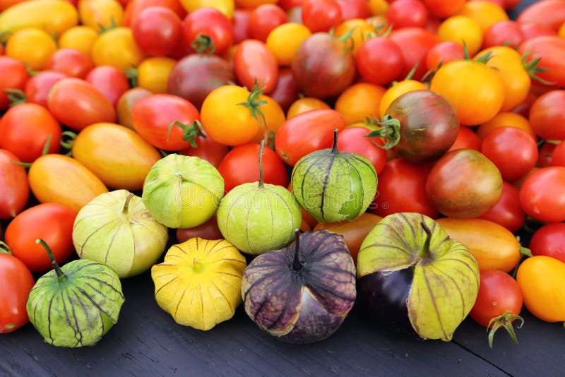 Tomatoes and tomatillo stock photo. Image of orange 147036022
