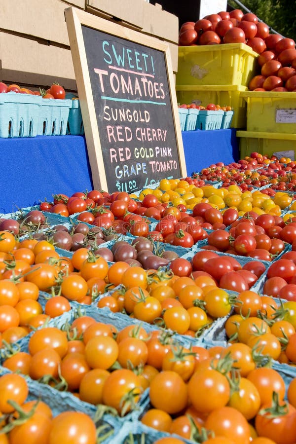 Tomatoes - Vertical