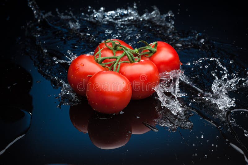 Tomatoes in water stock image. Image of greens, splash 31786977