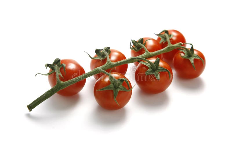 Tomatoes on white