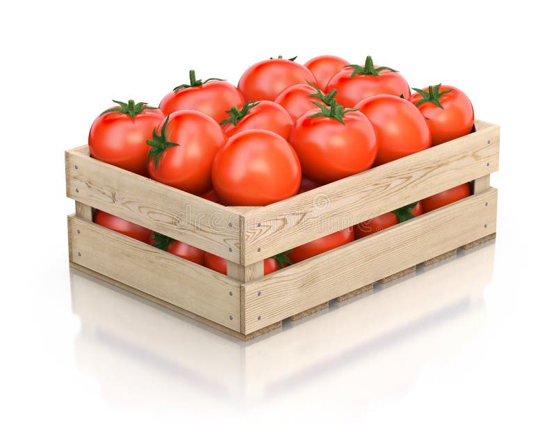 Tomatoes in wooden crate stock illustration. Illustration of crate