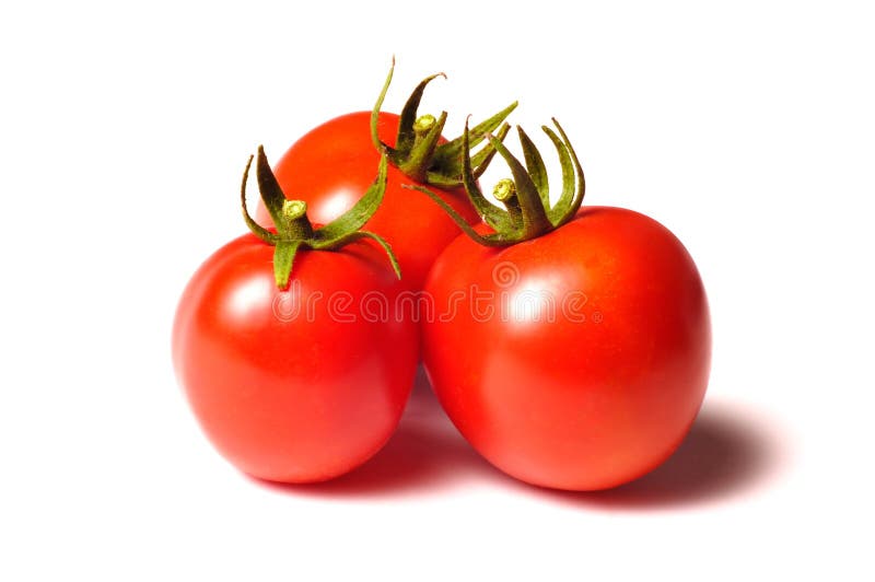 Tomatos