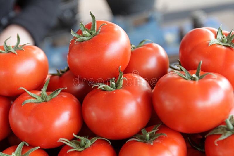 The tomatos