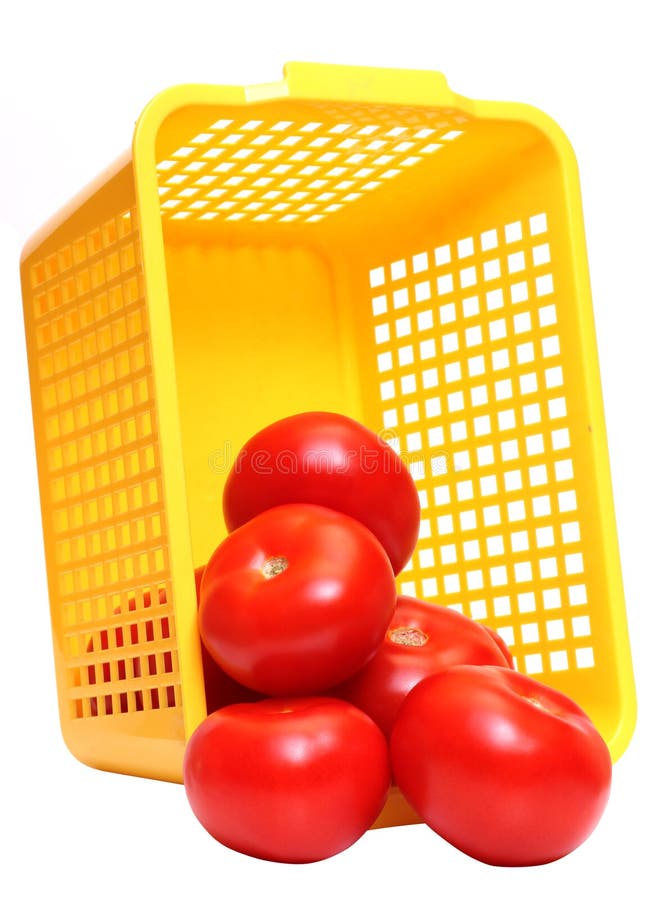 Tomatos in plastic basket