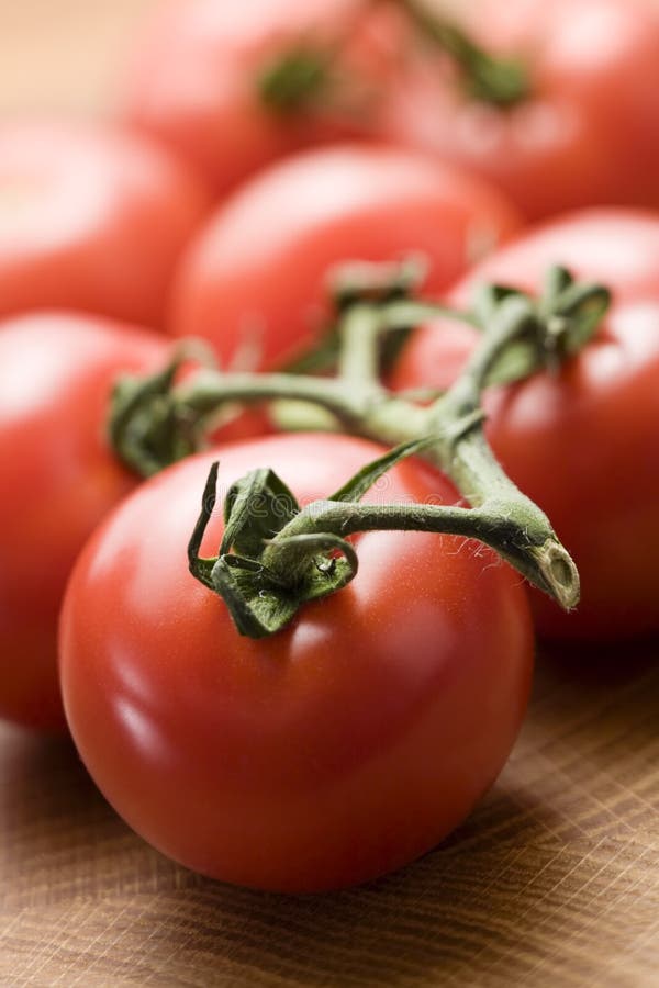 tomatvine arkivfoto tomatvine arkivfoto