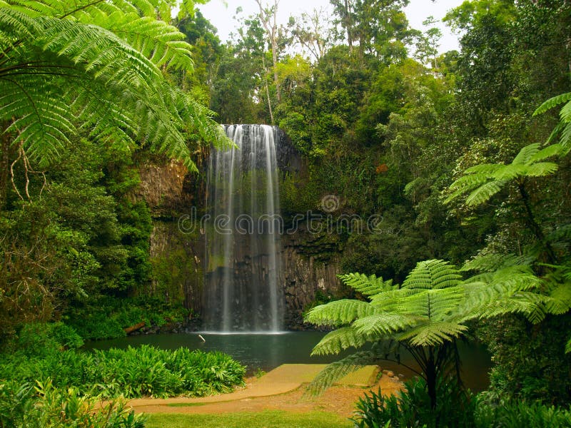 tombe le millaa image libre de droits tombe le millaa image libre de droits