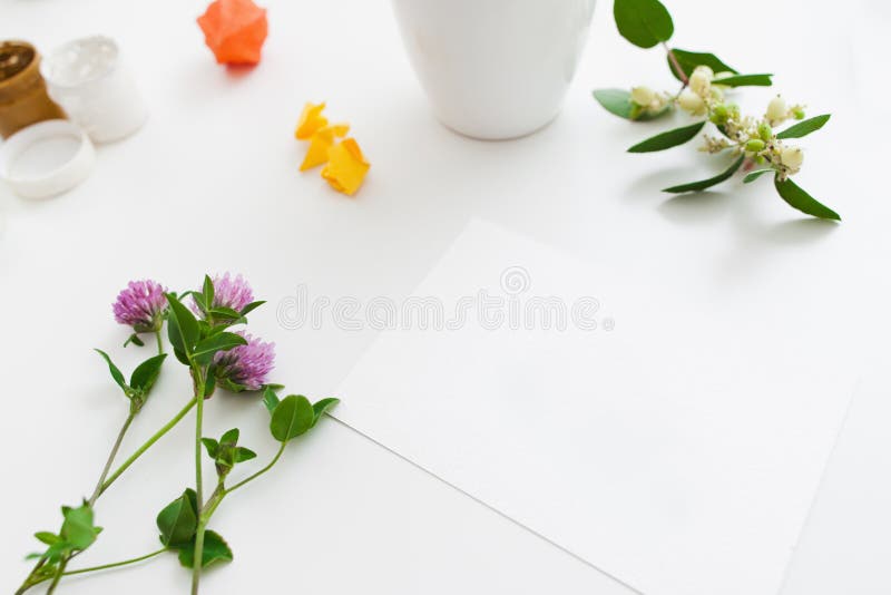 Tomt kort med nya blommor och gouachemodellen fotografering för bildbyråer Tomt kort med nya blommor och gouachemodellen fotografering för bildbyråer