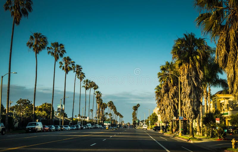 Los Angeles, California, USA - June 12, 2017: Palms and streets of Los Angeles. Urban life in Santa Monica. Green lawns, tropical palm trees and cars on the road. Road to the Pier of Santa Monica. Los Angeles, California, USA - June 12, 2017: Palms and streets of Los Angeles. Urban life in Santa Monica. Green lawns, tropical palm trees and cars on the road. Road to the Pier of Santa Monica