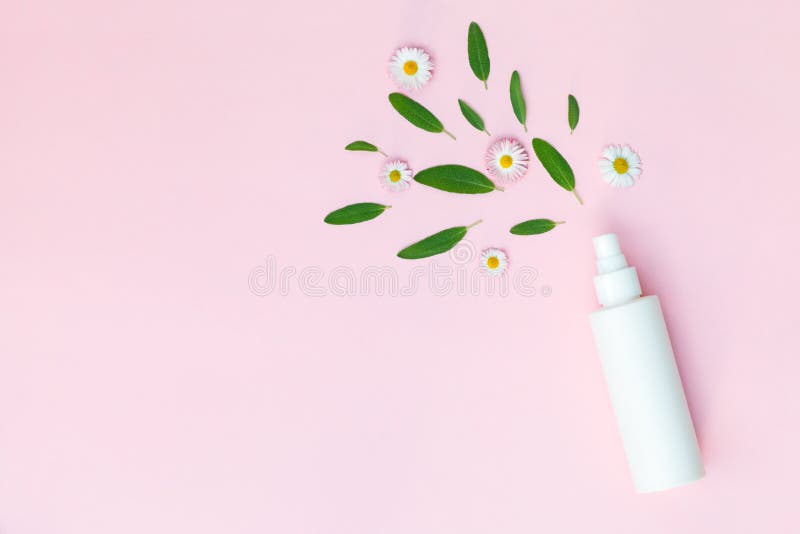Toner hidratante facial, spray de cabelo, desodorante de corpo floral com flores frescas de margarida camomila isoladas sobre fun fotografia de stock Toner hidratante facial, spray de cabelo, desodorante de corpo floral com flores frescas de margarida camomila isoladas sobre fun fotografia de stock