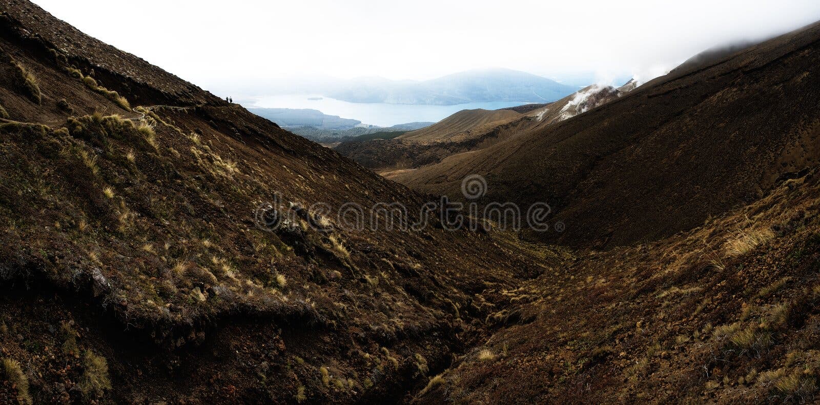 16,533 Nz Stock Photos - Free & Royalty-Free Stock Photos from Dreamstime - Page 7