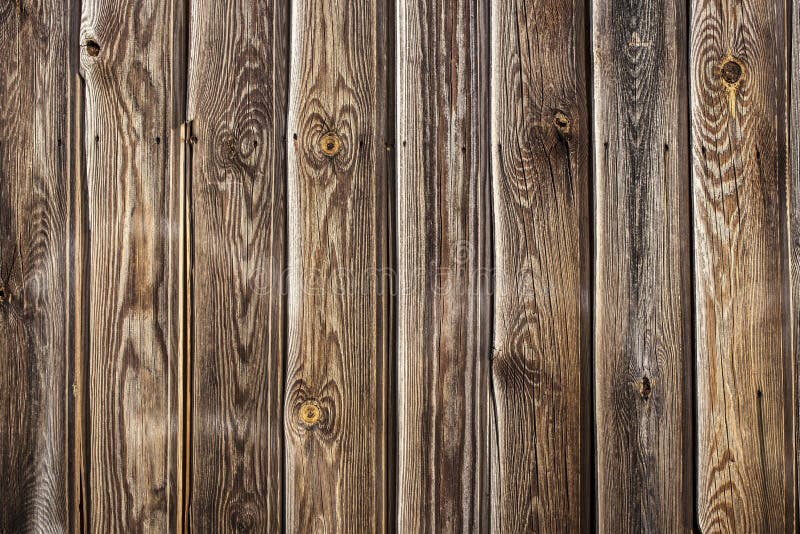 Tongue and Groove Pine Wood Wall Stock Image - Image of vegetal ...