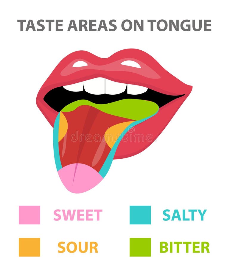 Tongue Taste Map