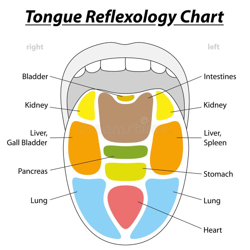 Tongue Diagnosis Chart Free Download