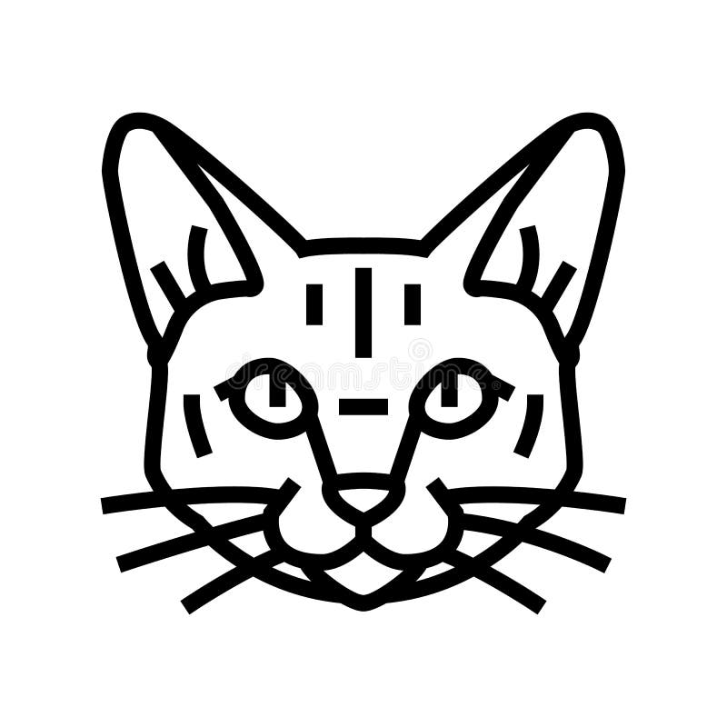 Cat line and glyph icon. Animal vector illustration isolated on