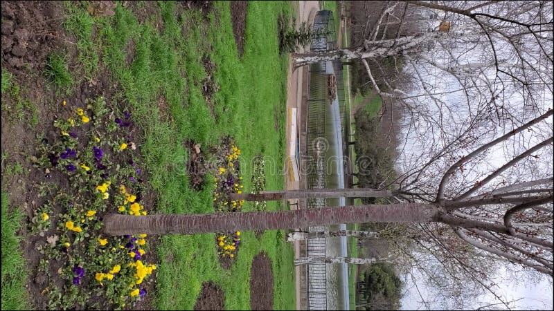 Tonnelle avec banc vide près du lit fleuri avec des fleurs sous les arbres dans le parc de printemps banque de vidéos