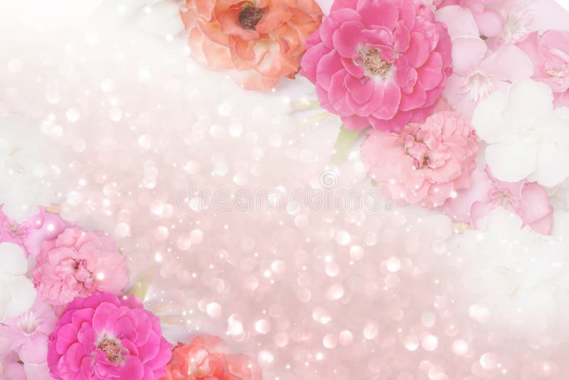 Beautiful pink,orange,white roses flower border glitter background for valentine in pastel tone. Beautiful pink,orange,white roses flower border glitter background for valentine in pastel tone