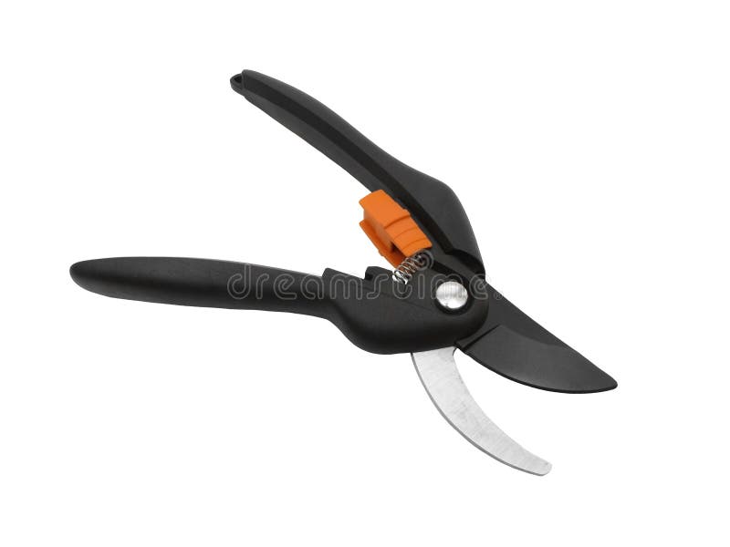 Trimming Shrubs And Branches Stock Image Image of leaves, cutting