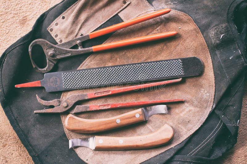 Tools horse shoer stock photo. Image of rasp, nails, pair 69853770