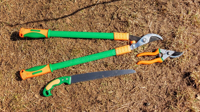 Tools for pruning trees and bushes, a saw, large and small scissors, in the garden on the ground