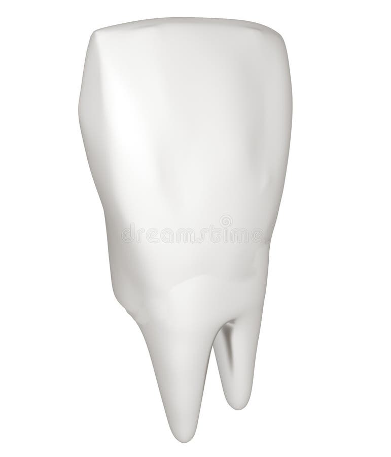 Tooth. 3d illustration royalty free illustration