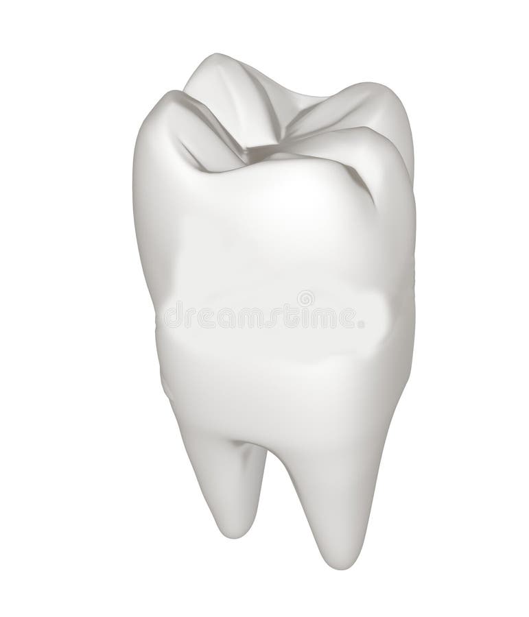 Tooth. 3d illustration vector illustration