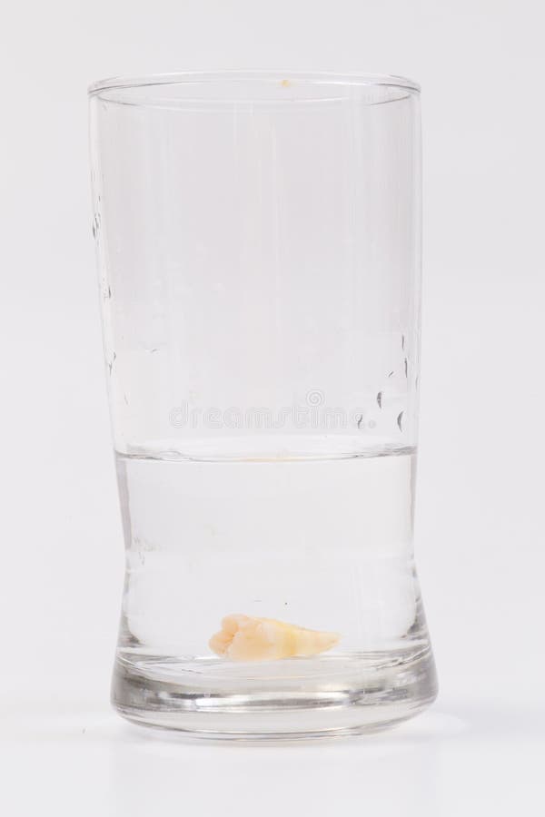 Tooth Decay in a Glass of Water Stock Image Image of care, abstract