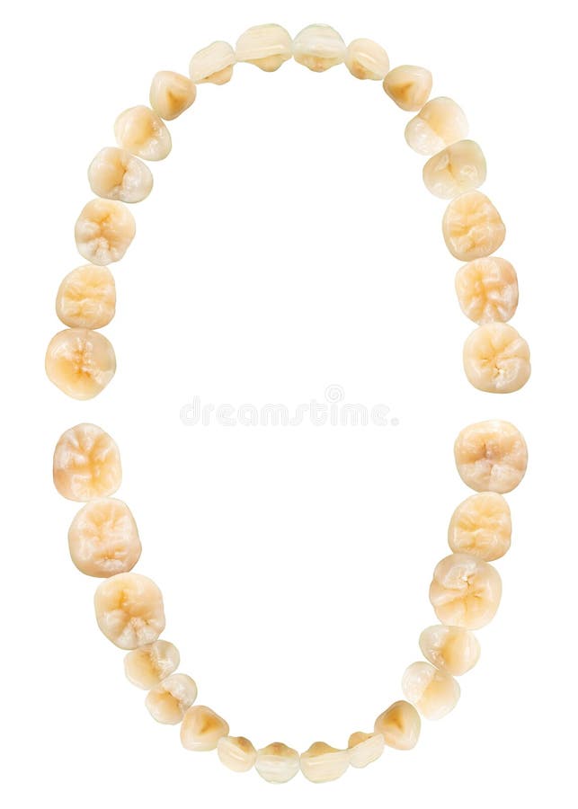 Tooth diagram photography . Real teeth chart . Top view . isolated white background