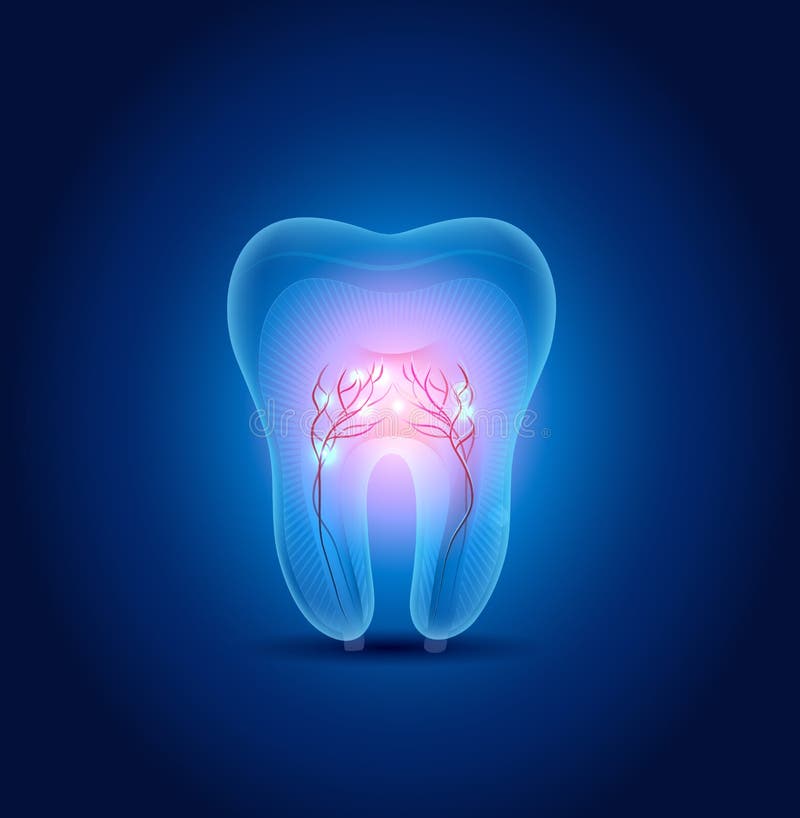 Tooth illustration royalty free illustration