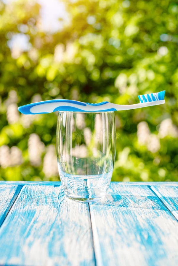 Toothbrush Stands in a Glass Stock Image Image of brush, tooth 227666741