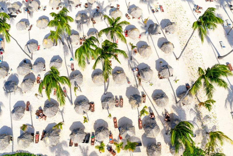 Top aerial drone view of beach with tourists, palms, sunbeds and straw umbrellas. Sea travel vacation. Dominican Republic, Punta Cana.